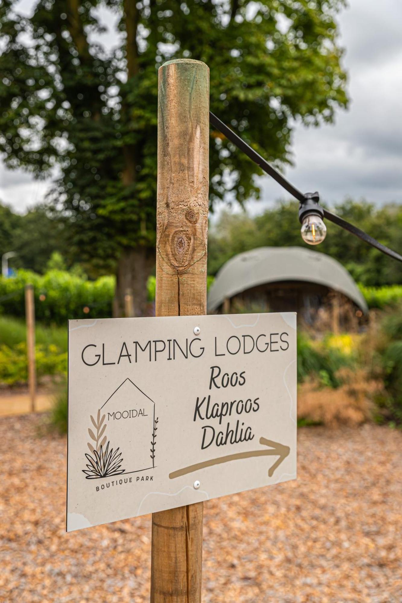 Luxe Glamping Dahlia Meerssen